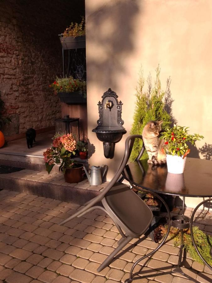 Babie Lato B&B Uniejow Buitenkant foto